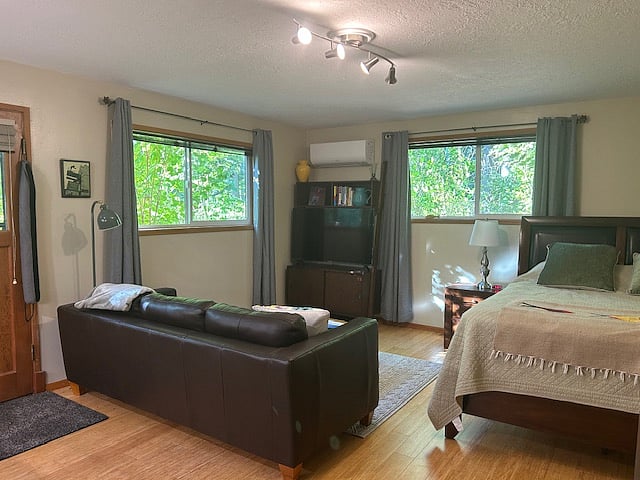 View of living area with brand new 60-inch smart TV and comfortable leather couch.  Room-darkening curtains cover the two windows.