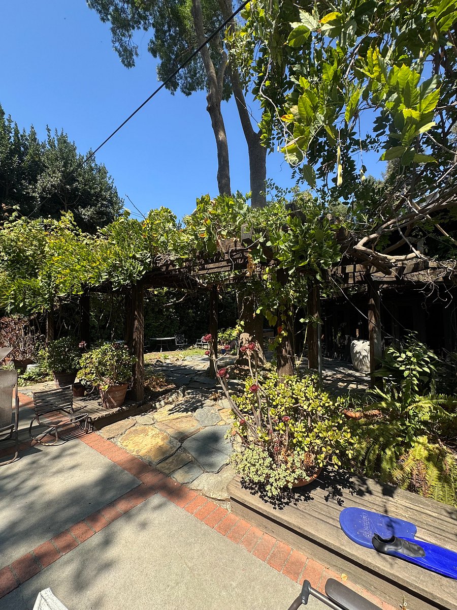 Shared backyard
