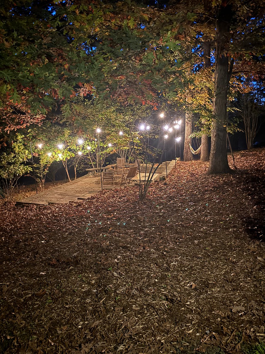 Private use of Fire Pitt with hanging lights, goldfish pond with fountain, hammock, seating, and plug-ins.