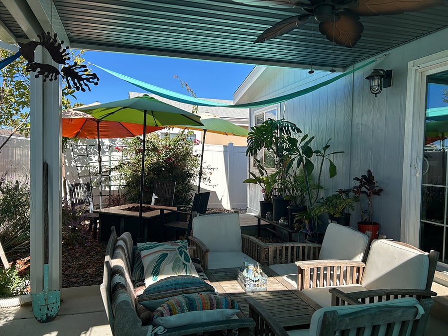 Backyard