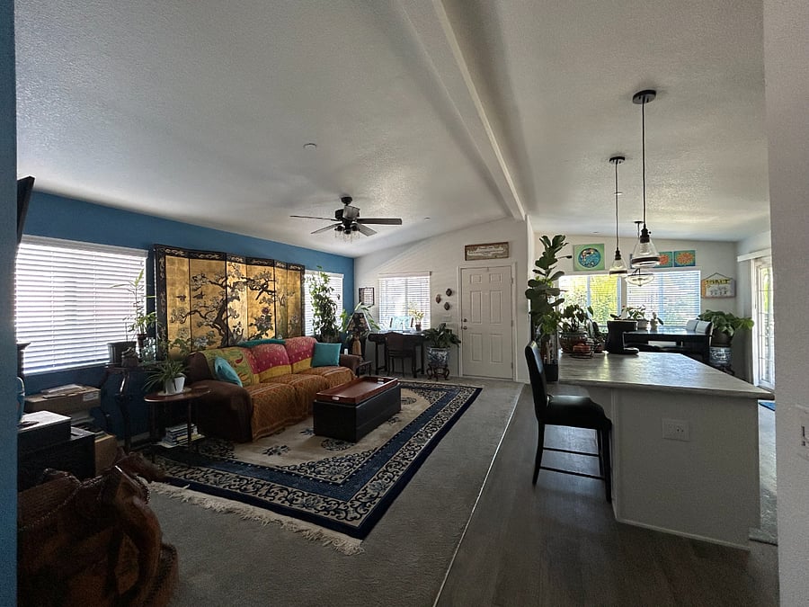 Living room and Kitchen Island