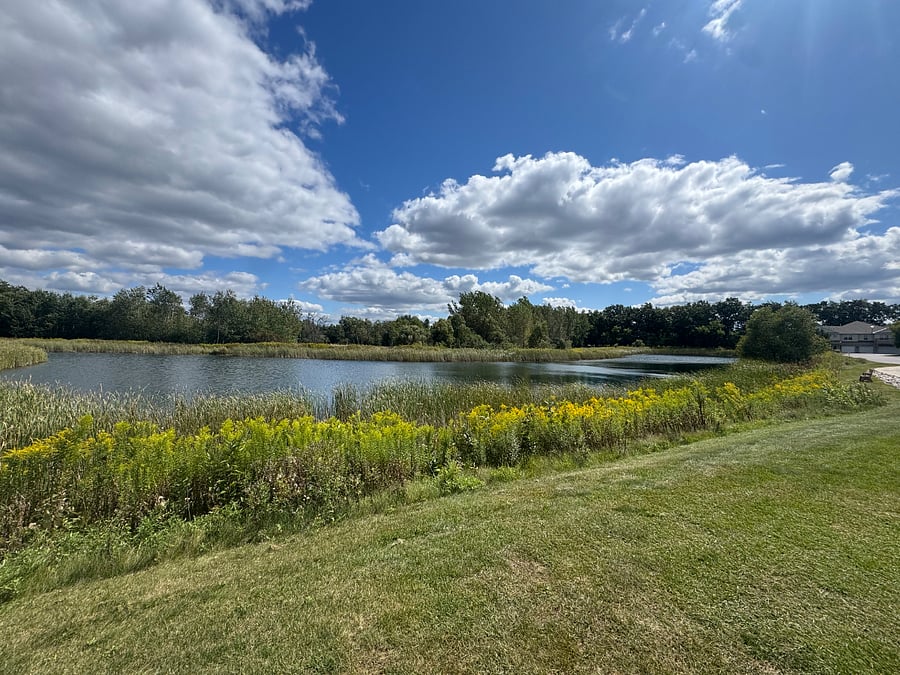 Great nature views in the community.