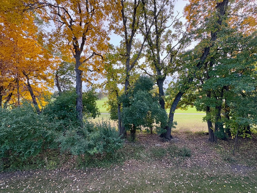 Great views from the balcony off of the family room.