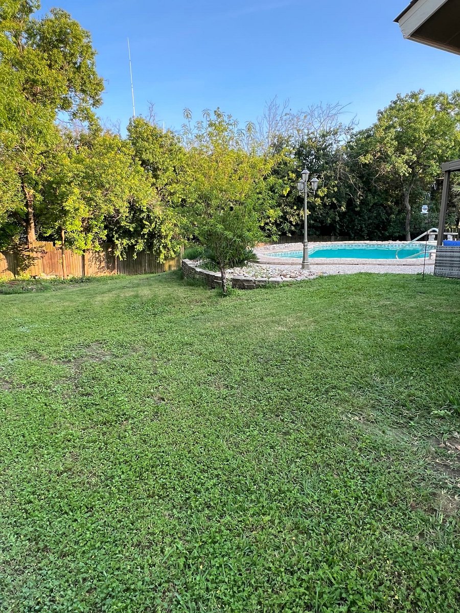 Large backyard