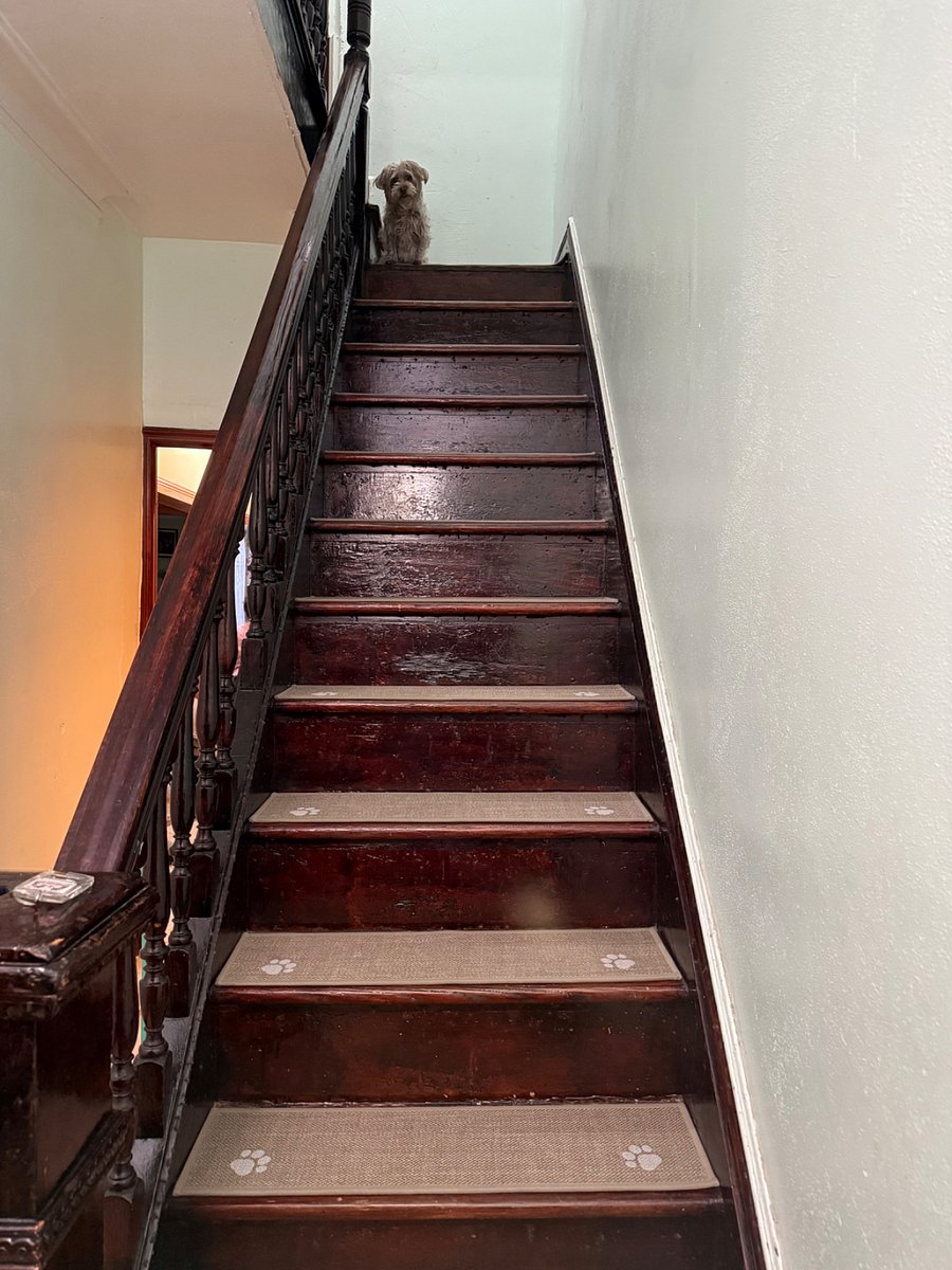 Stairway to apartment entrance