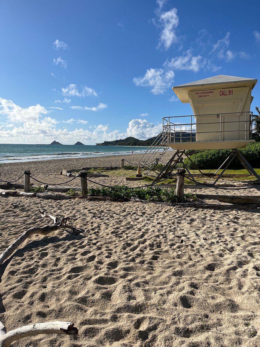 our new lifeguard stand