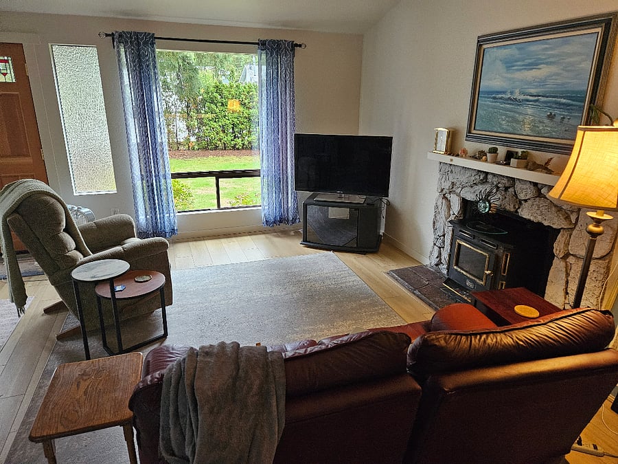Cozy woodstove