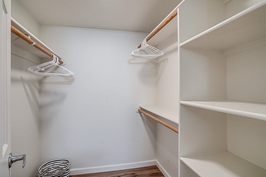 Primary  walk-in closet