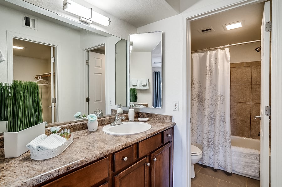 Primary bathroom