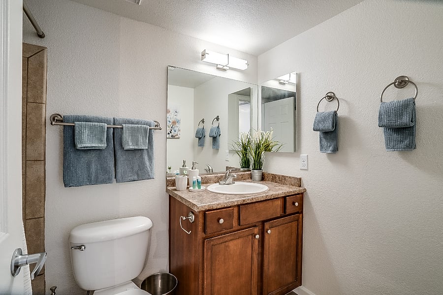 Hall bathroom