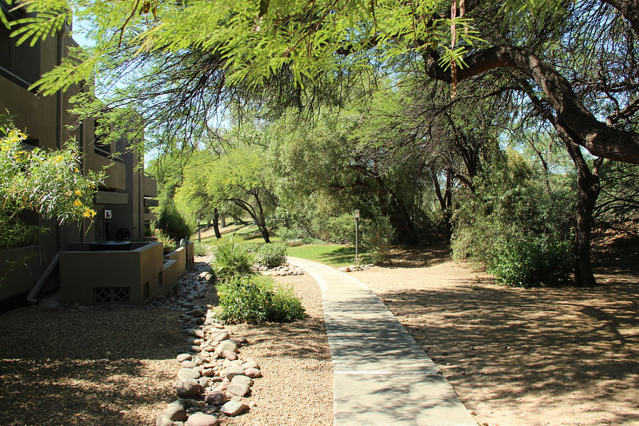 Walking trail behind the building