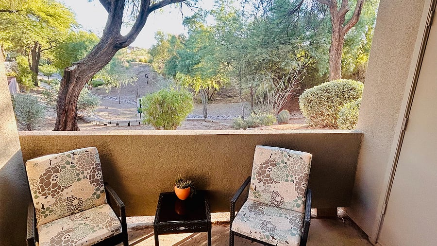 Quiet patio with a view
