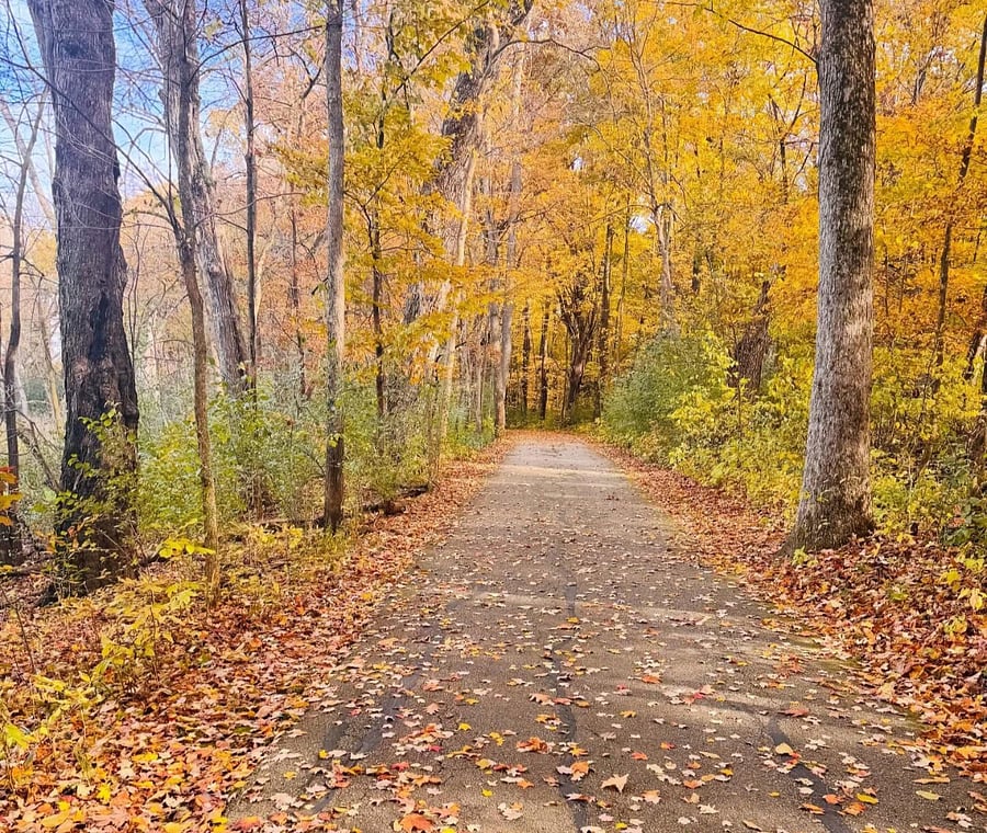 Fox River Park Trails