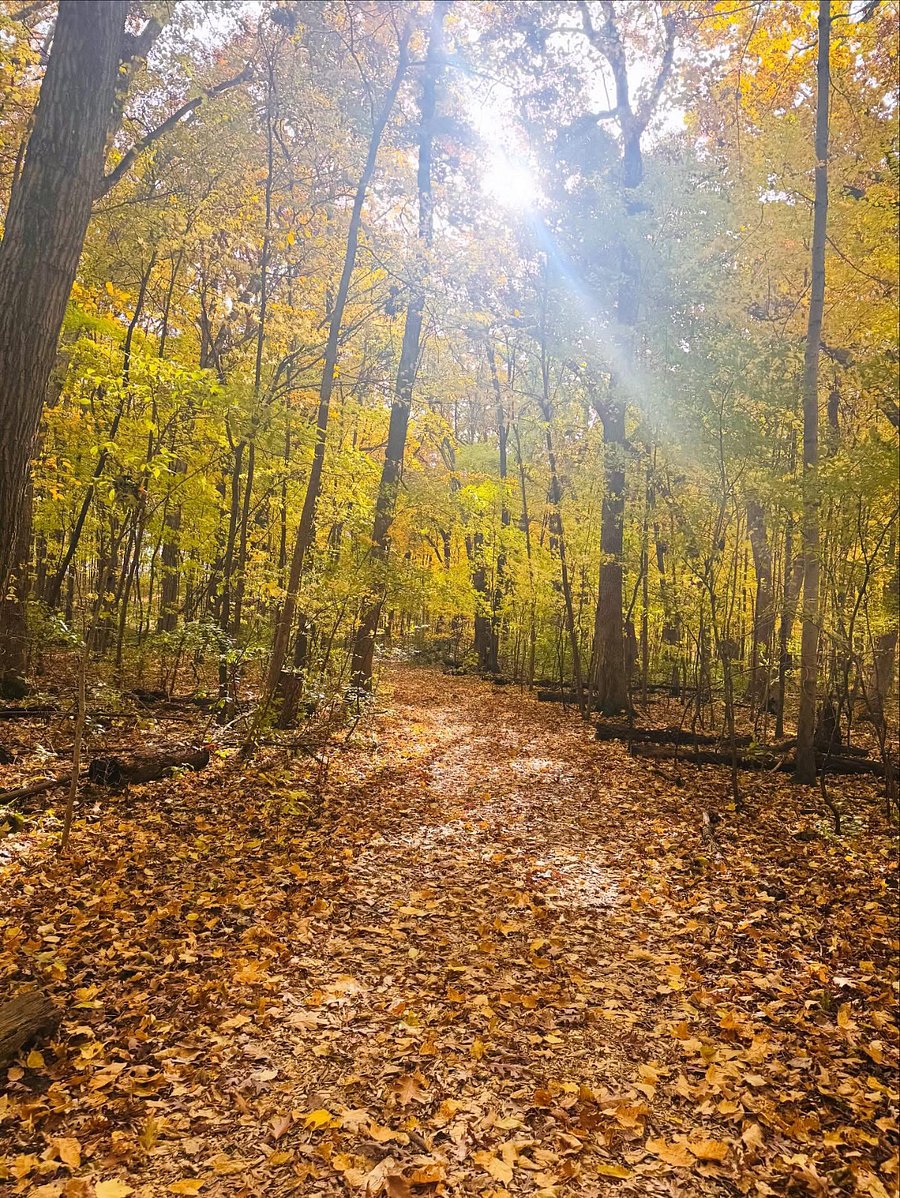 Fox River Park Trails