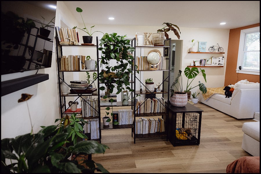 Breath the clean ambience of a house full of plants. 