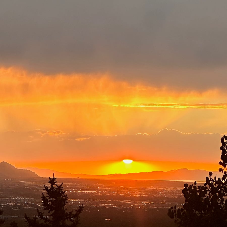 Unobstructed views...