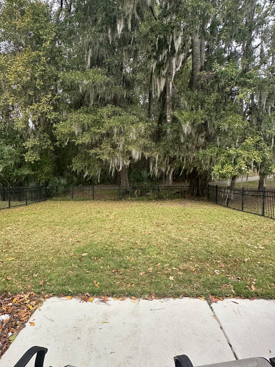 fenced back yard