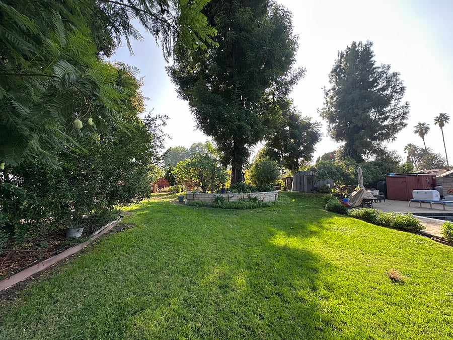 View of a piece of paradise in the backyard