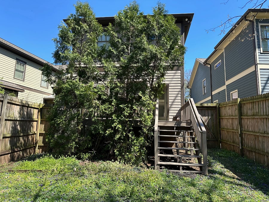 Back yard