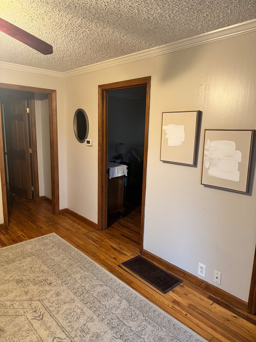 Living Room with Smart TV, black out curtains, ceiling fan
