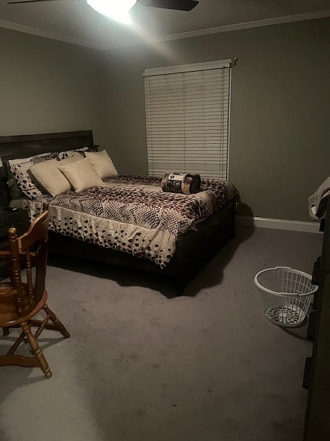 Furnished Finder property 924238_1 photo 3
