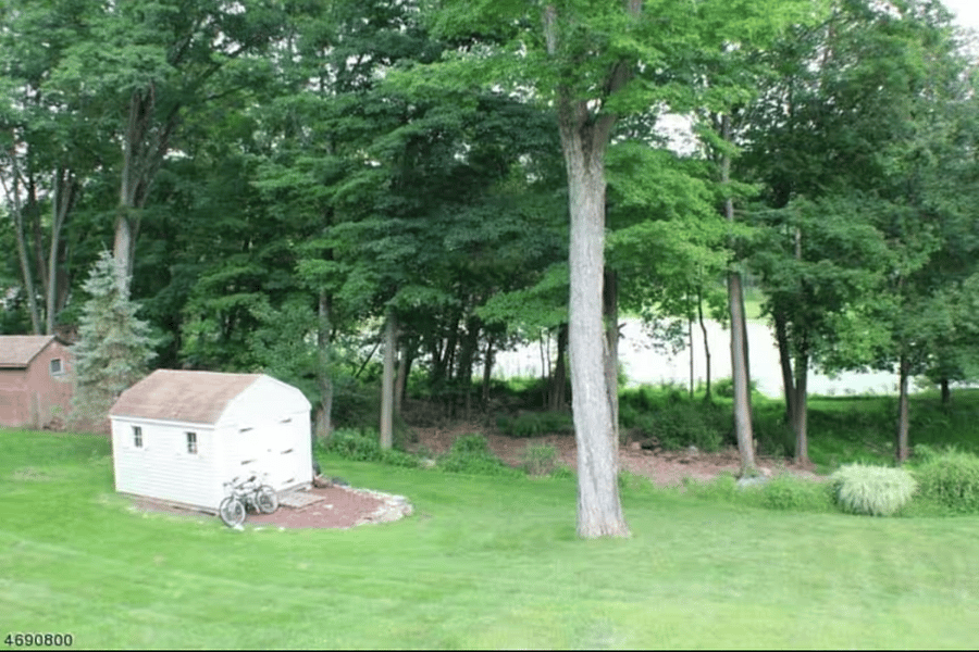 Backyard, pond-view