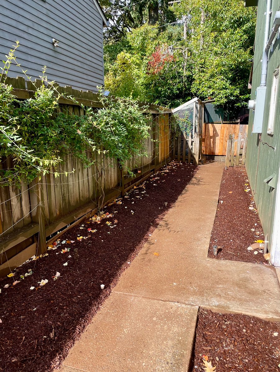 Entrance path along left side of house.