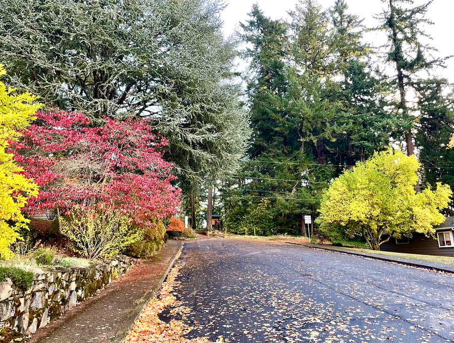 Quiet park. Entrance visible from driveway.
