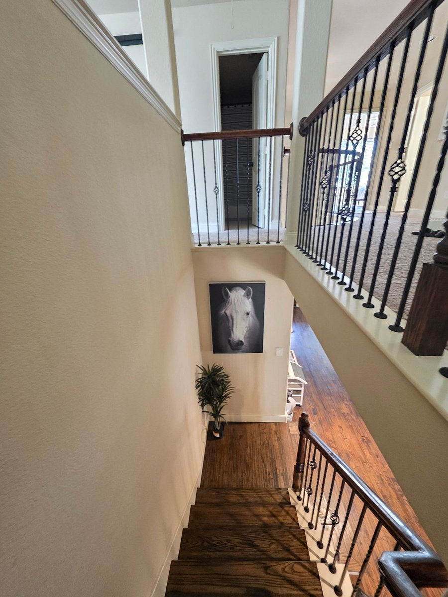 Furnished Finder property 924669_1 photo 16