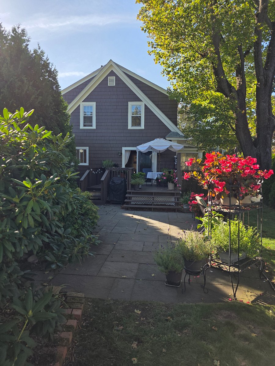 fenced and landscaped back yard and porch