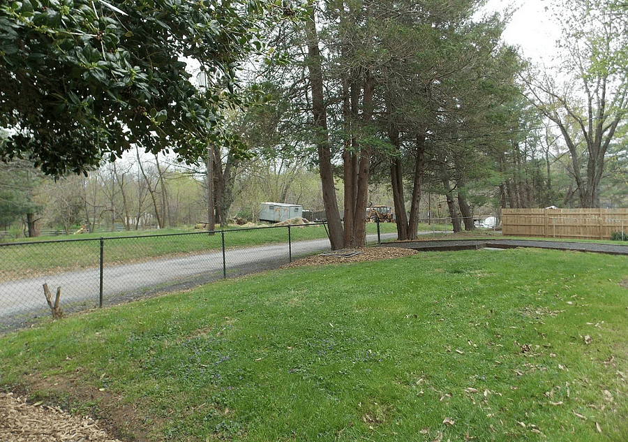 Side/Back Yard