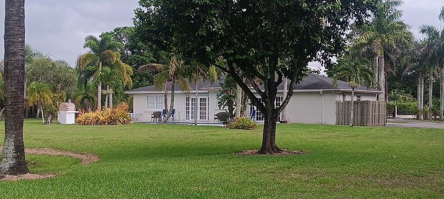 Backyard view
