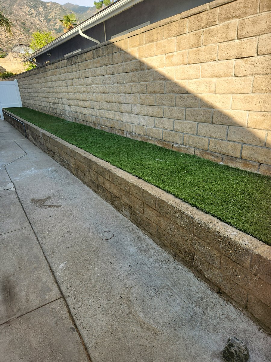Patio/Dog Run Area