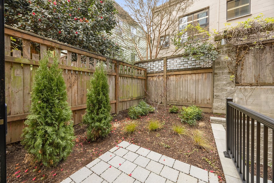 Patio / Yard