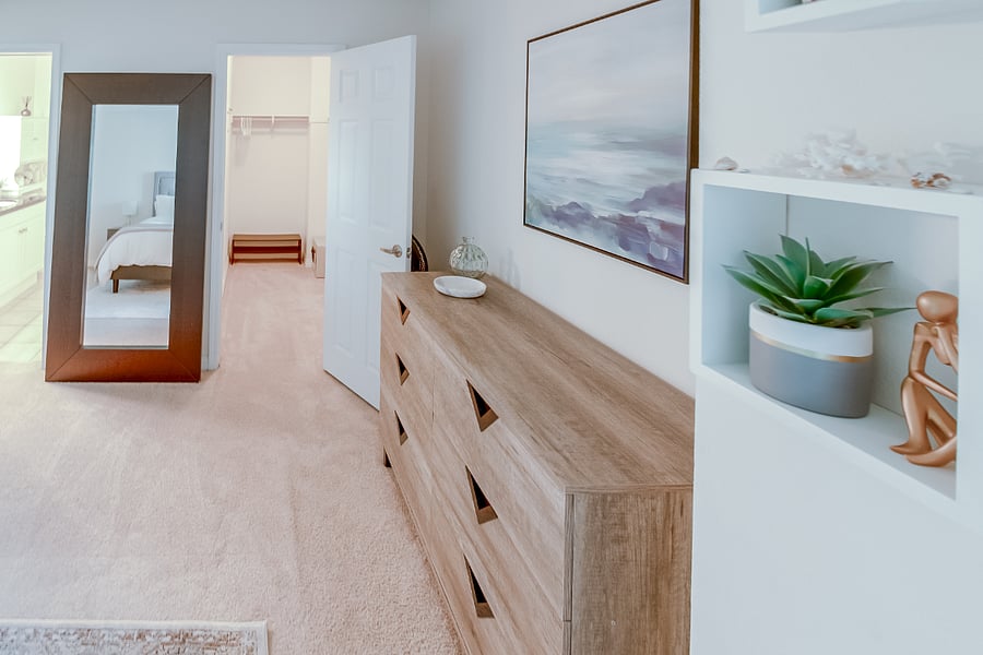 Primary suite & walk-in closet