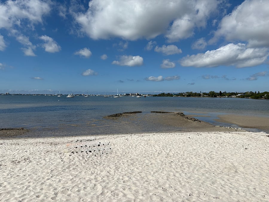 Beach Front