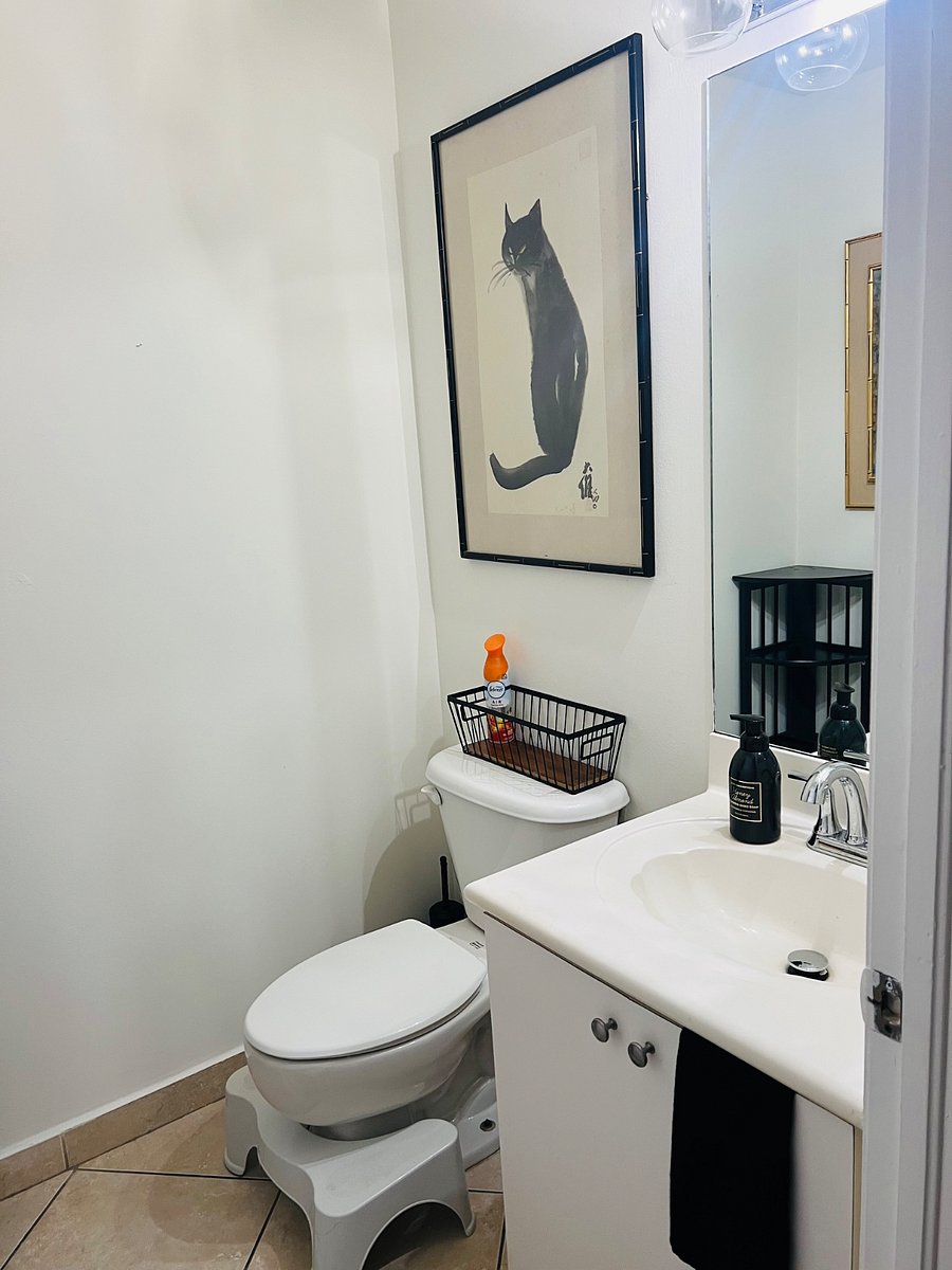 Downstairs guest 1/2 bathroom