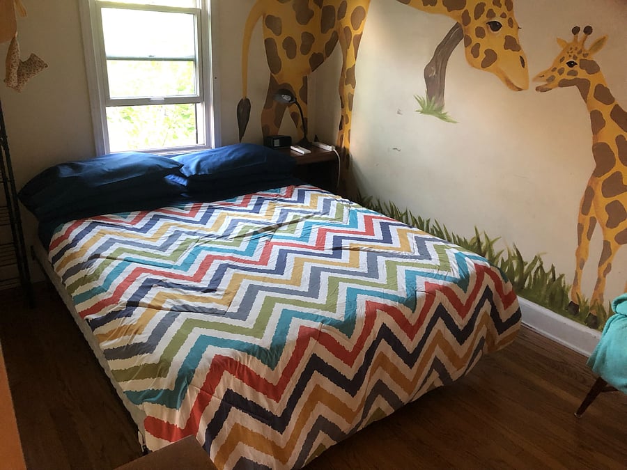 "Giraffe" room, Queen Bed