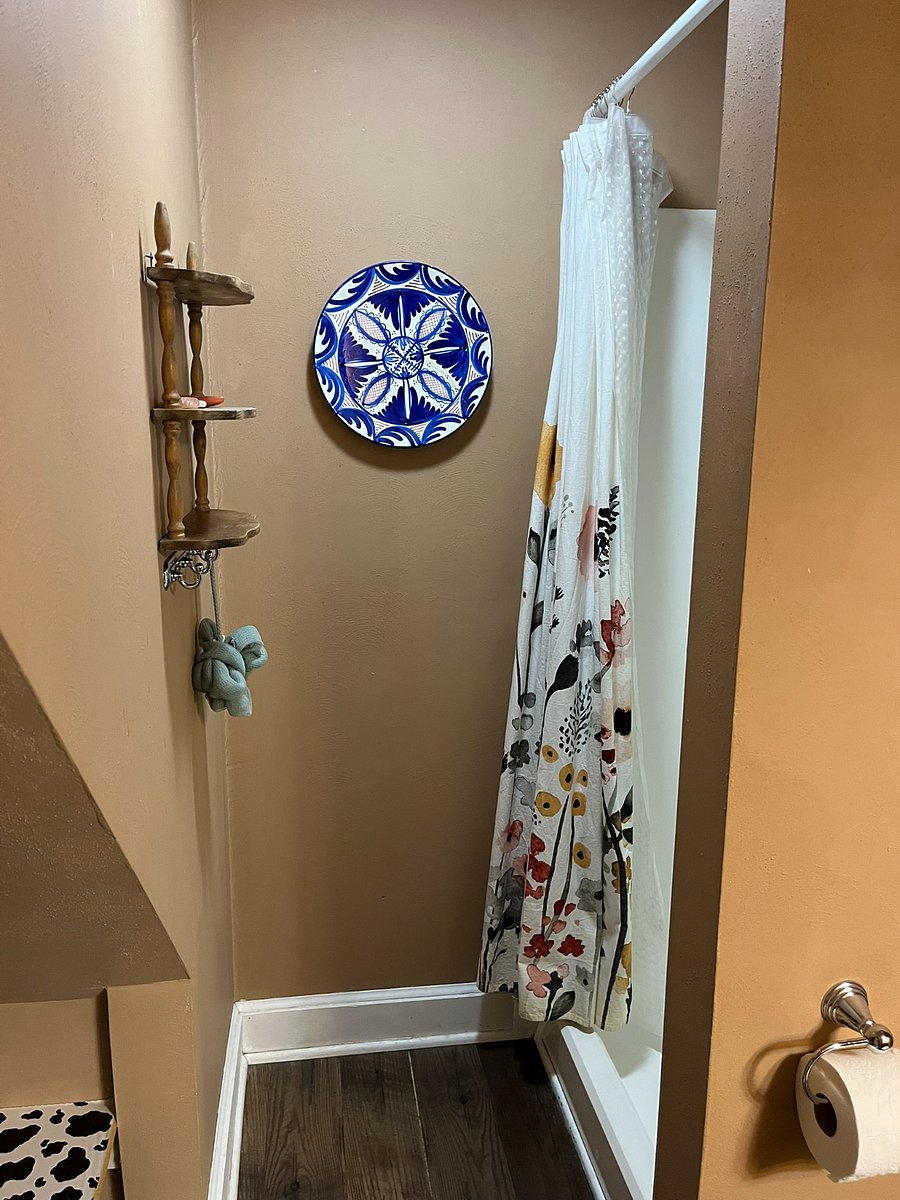 Master bath shower stall