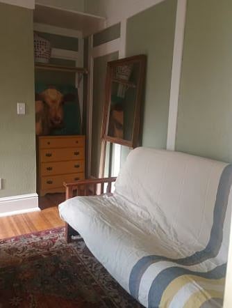 Furnished Finder property 925994_1 photo 8