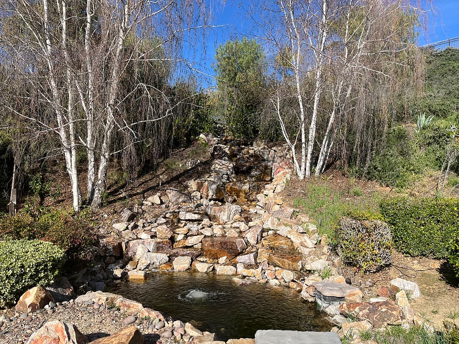 Serene backyard waterfall and koi pond