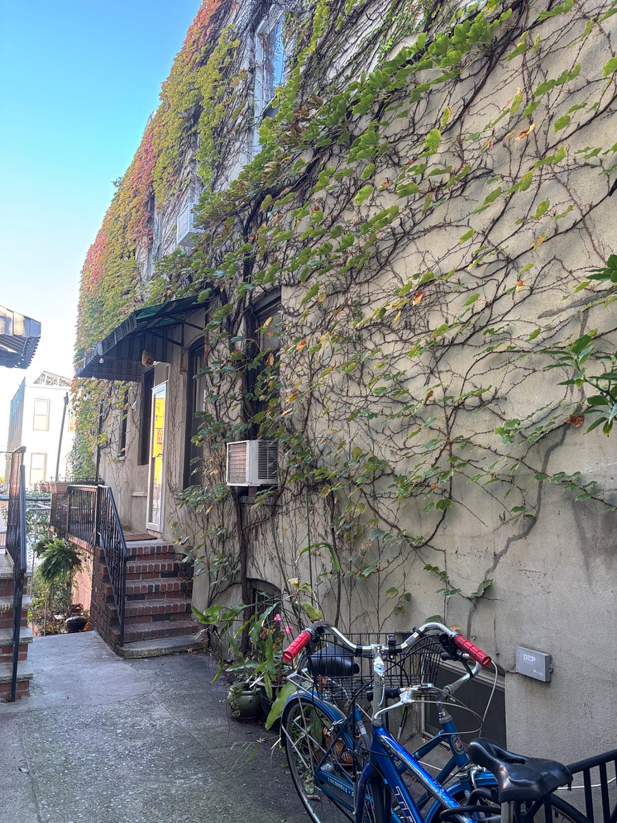 The apartment has its own private entrance in the side of the house.