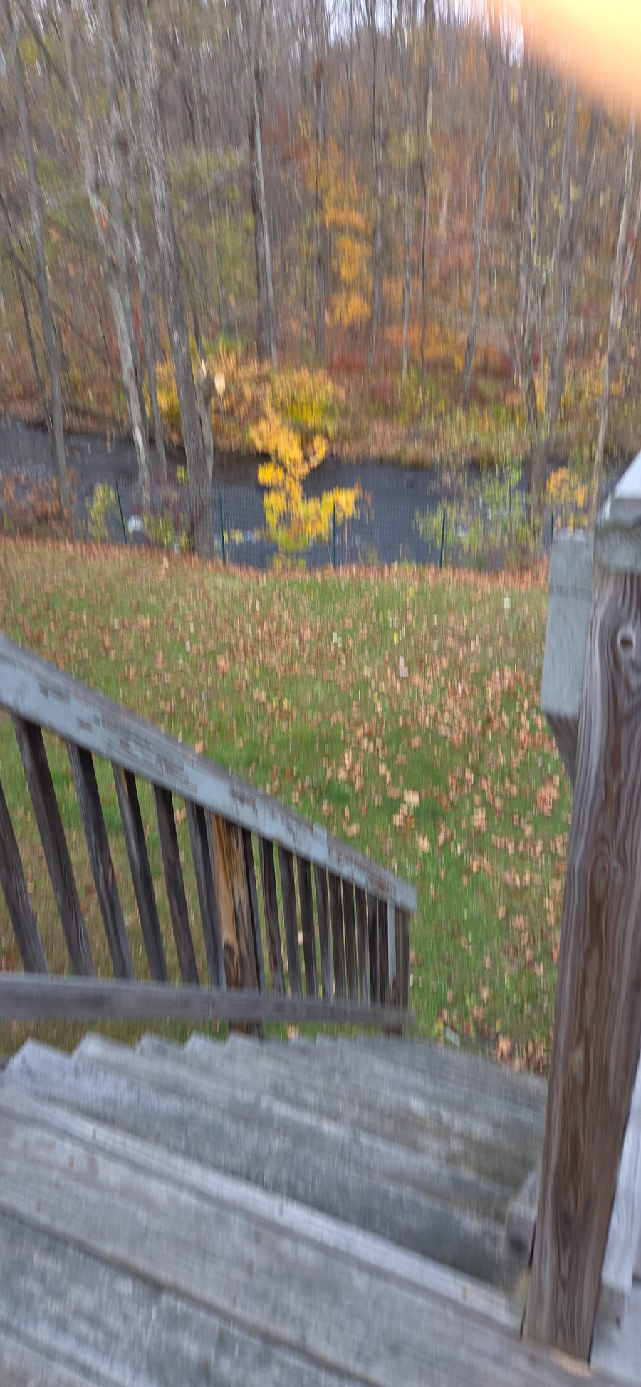 Stairs down to the lawn from the deck.