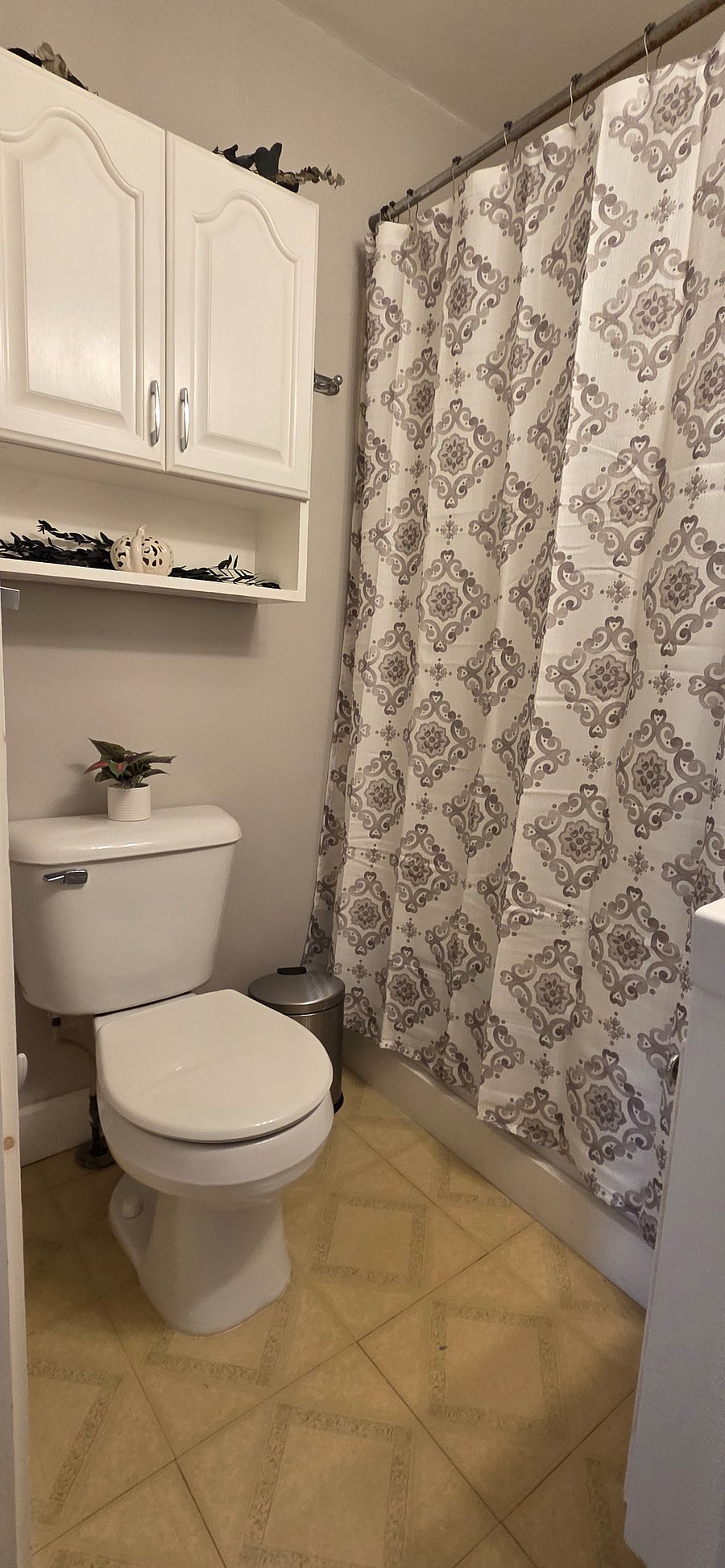 Storage cabinet over toilet, towel rack on the wall, towel hook by shower.