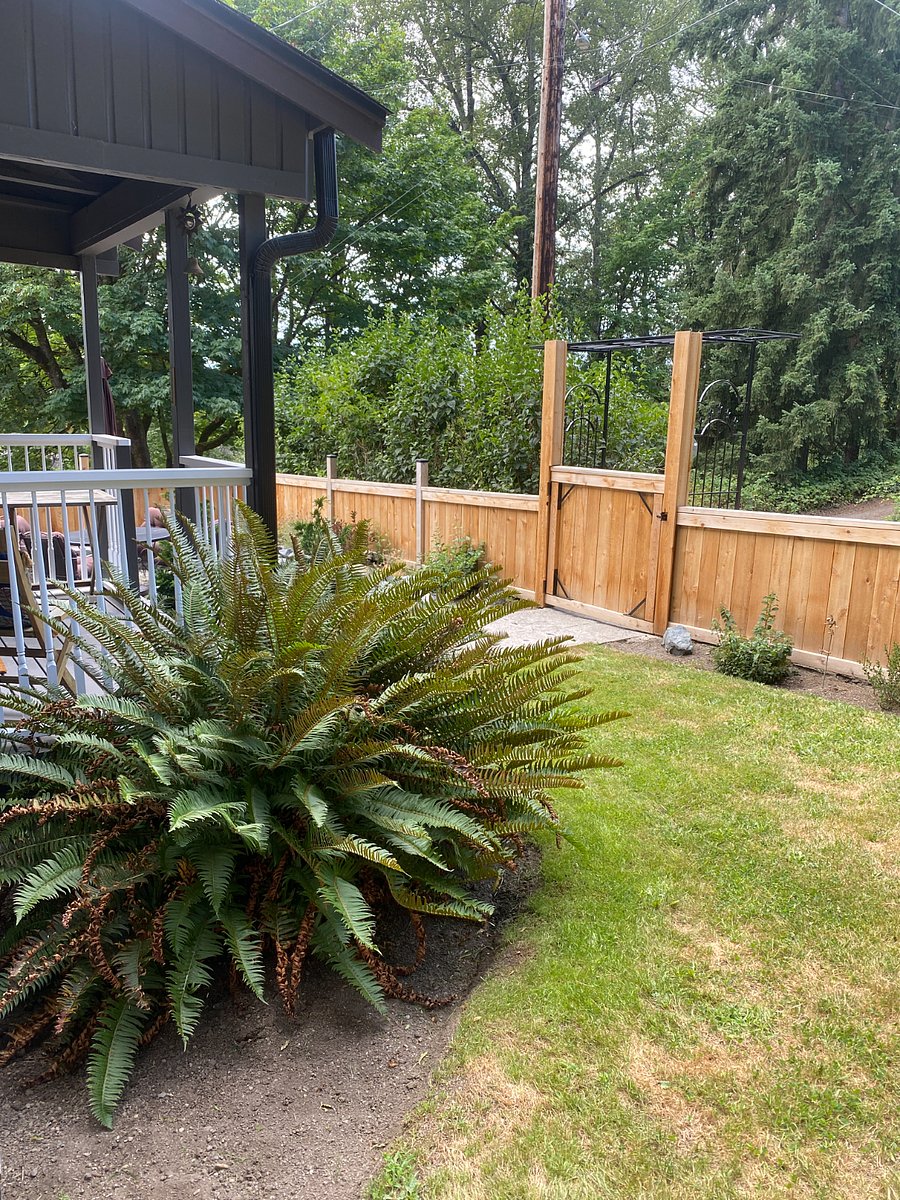 Another view of the front yard and porch.