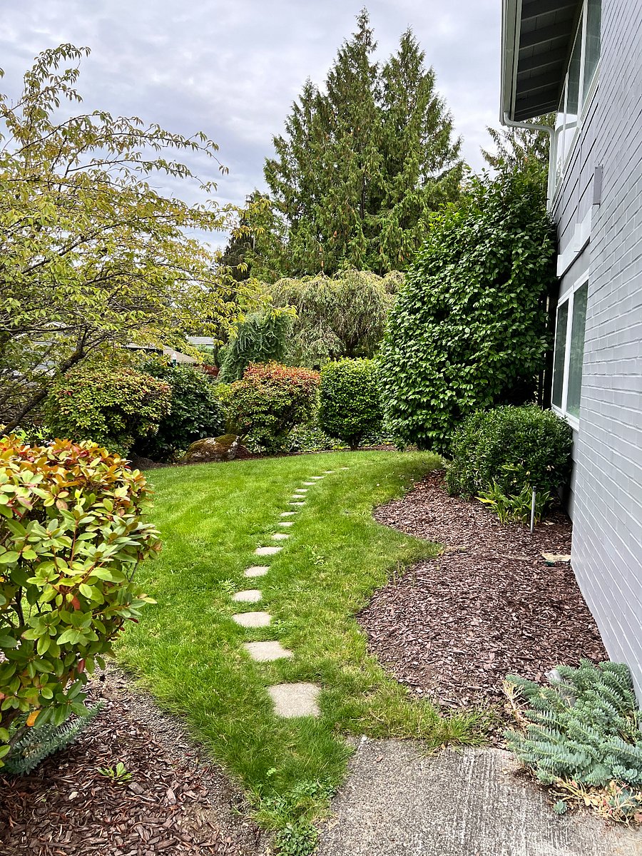 Walkway to the studio entrance on the side of the house