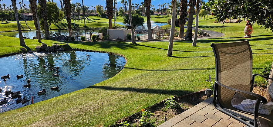 The pool and jacuzzi are steps away!