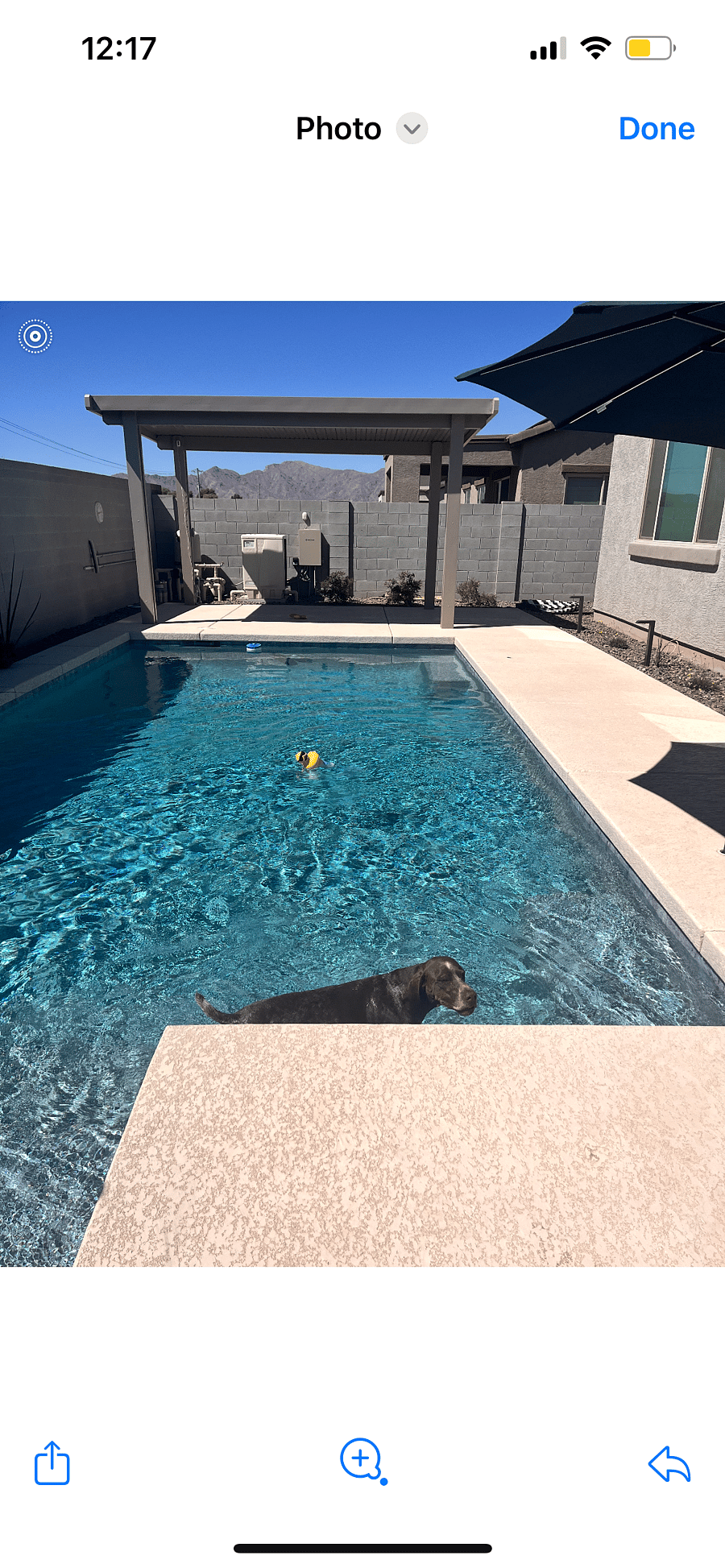 Furnished Finder property 927212_1 photo 15