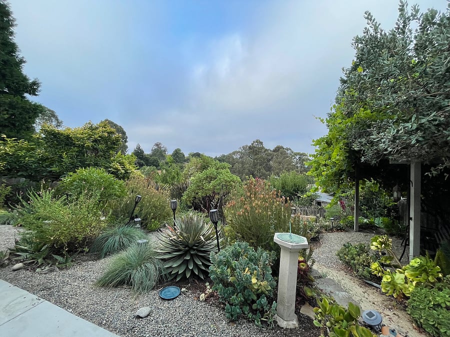 share this lovely backyard space