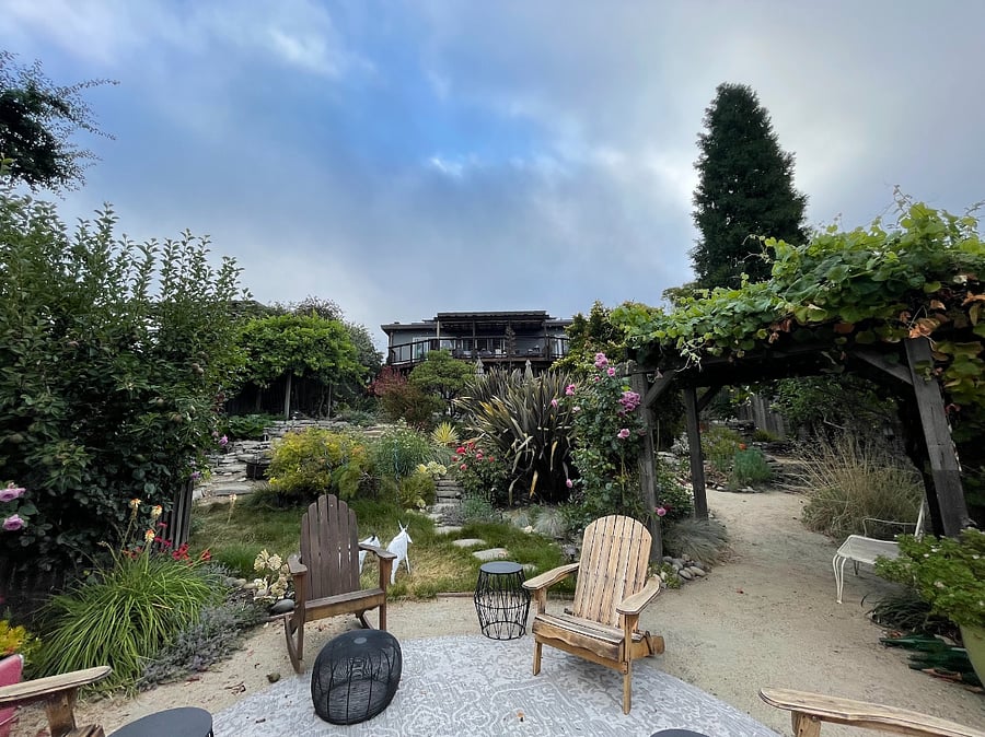 Bottom terrace of back yard. Enjoy the flowers, birds and butterflies